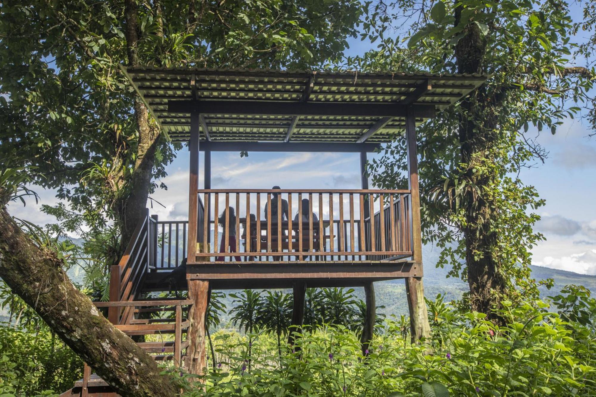 "Hana'S Celeste Retreat" Large Modern Villa Sleeps 6 On 20 Acres Of Nature! بيجاغوا المظهر الخارجي الصورة